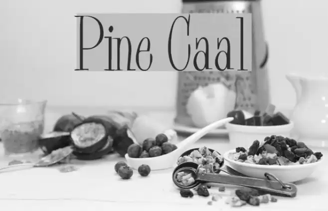 Pine Casual Font examples