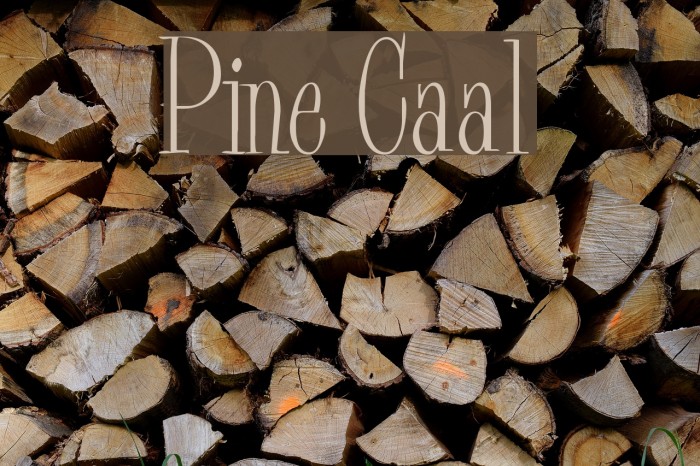 Pine Casual Font examples