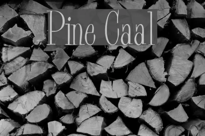 Pine Casual Font examples
