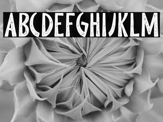 Pine Forest Personal Use Font examples