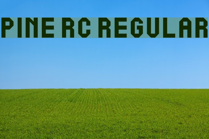 Pine RC Regular Font examples