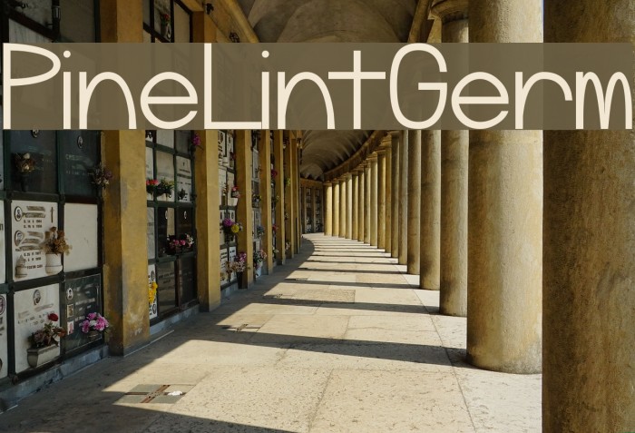 PineLintGerm Example 3