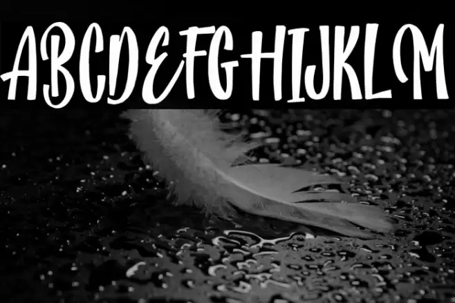 PineScriptRegular Font examples