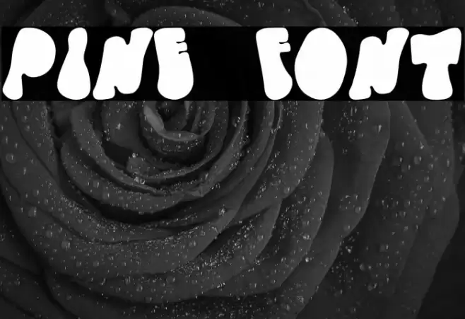 Pine Font examples