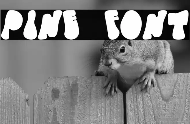 Pine Font examples