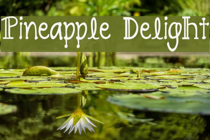 Pineapple Delight Font examples