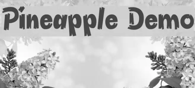 Pineapple Demo Polices examples