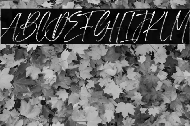 Pineapple Palm Tree Demo Font examples