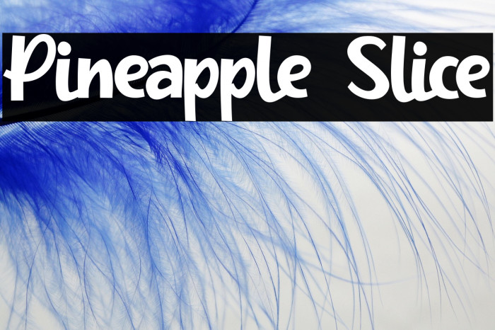 Pineapple Slice Example 2