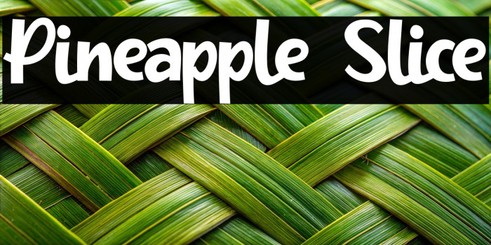 Pineapple Slice Example 3