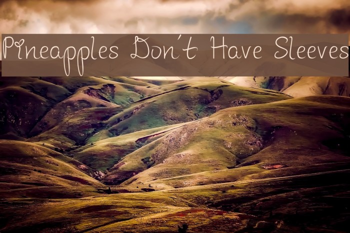 Pineapples Don't Have Sleeves Font examples