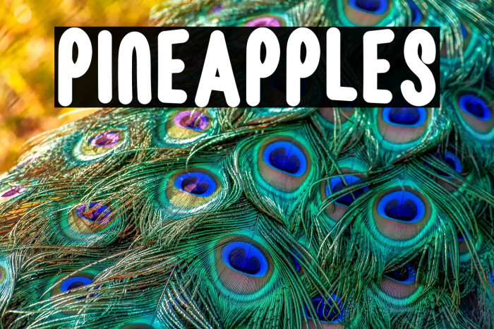 Pineapples Example 1