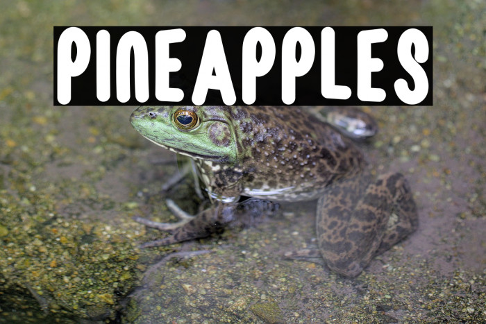 Pineapples Example 3