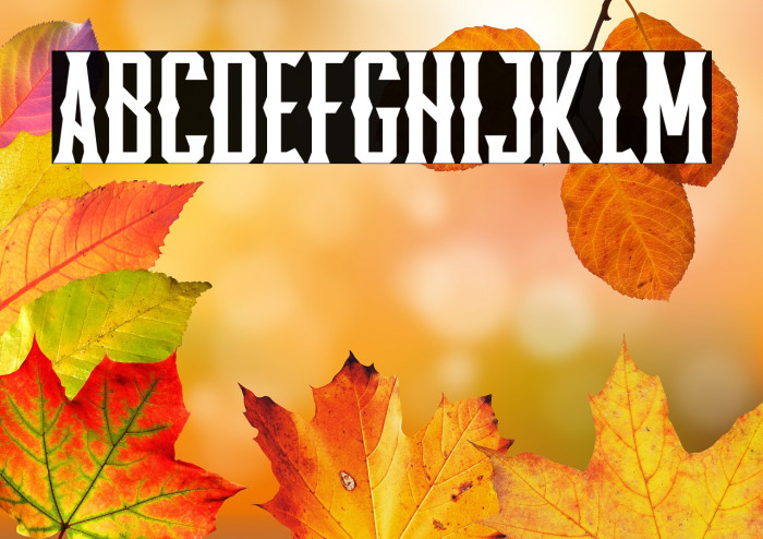 Pineforest Display Example 1