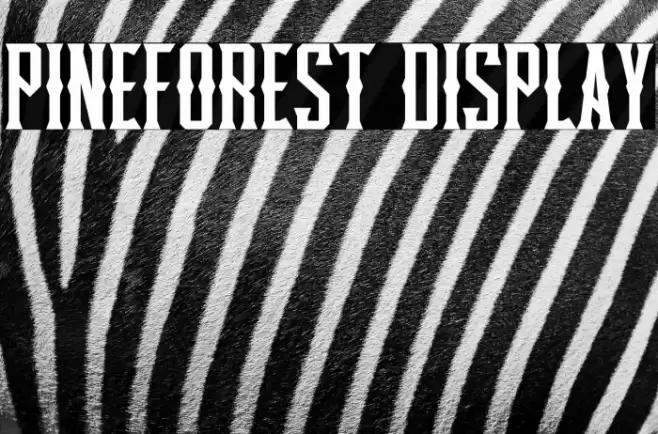 Pineforest Display Font examples