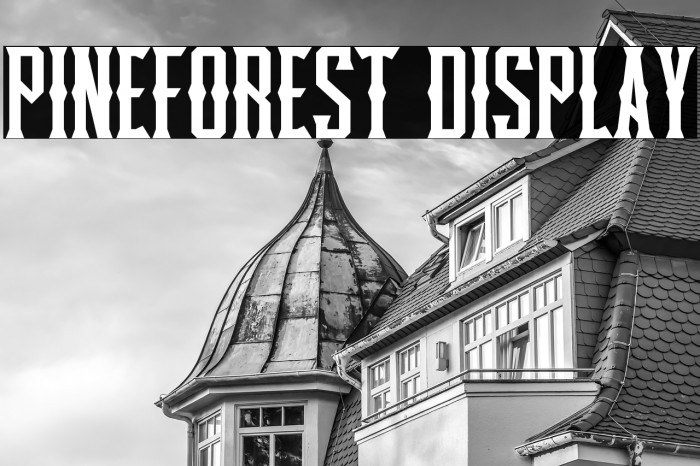 Pineforest Display Example 2