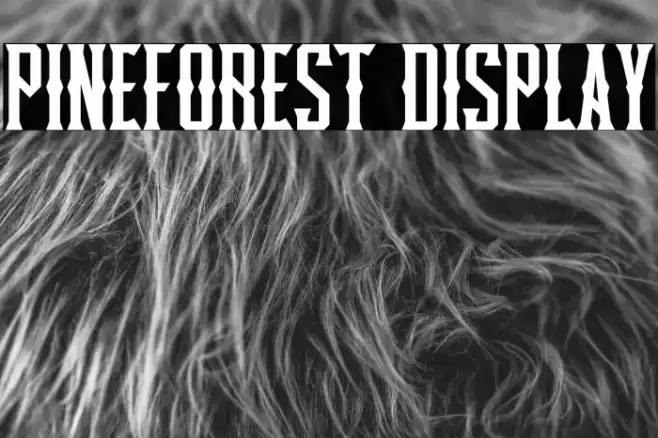 Pineforest Display Font examples
