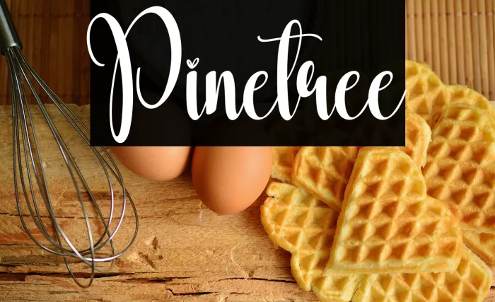 Pinetree Example 1