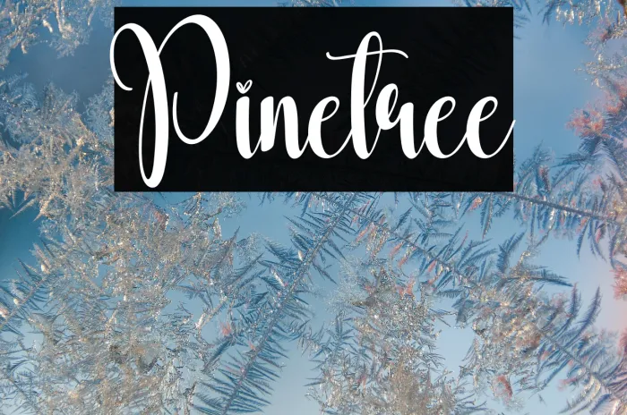 Pinetree Example 2