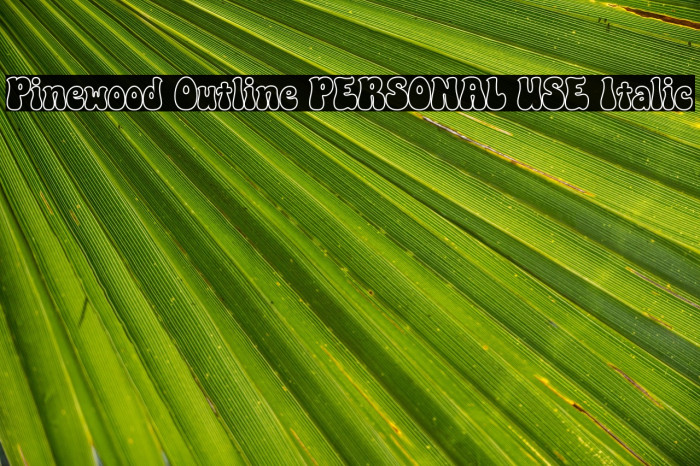 Pinewood Outline PERSONAL USE Italic Example 1