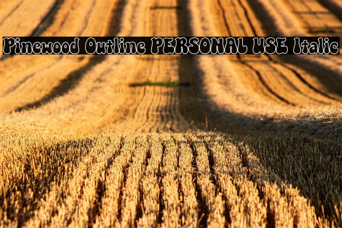 Pinewood Outline PERSONAL USE Italic Example 2