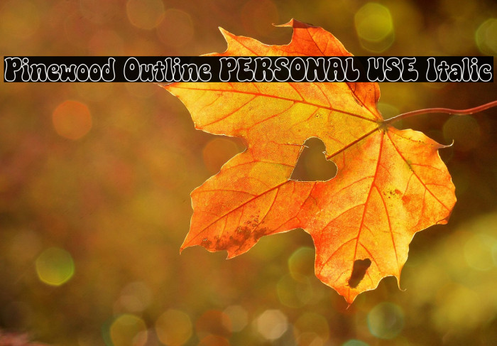 Pinewood Outline PERSONAL USE Italic Example 3