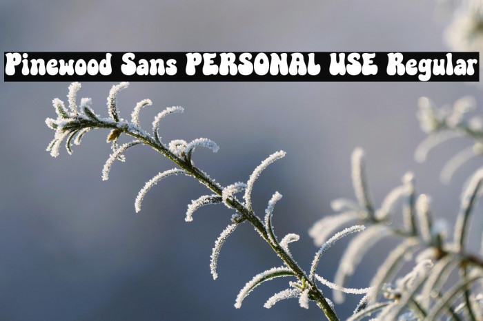 Pinewood Sans PERSONAL USE Regular Example 1