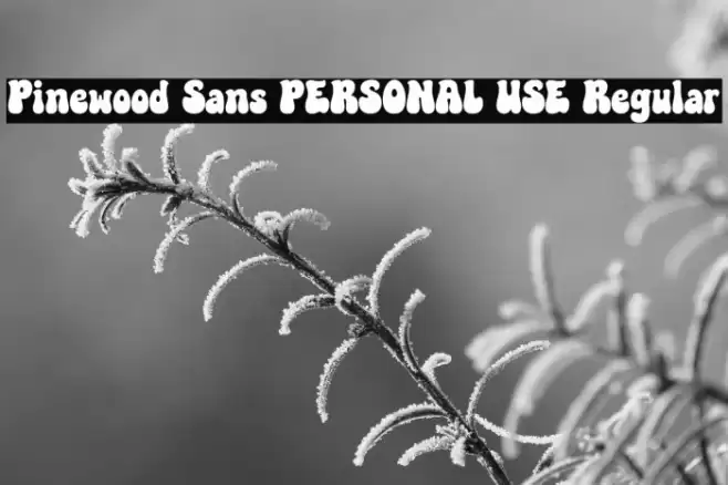 Pinewood Sans PERSONAL USE Regular Font examples