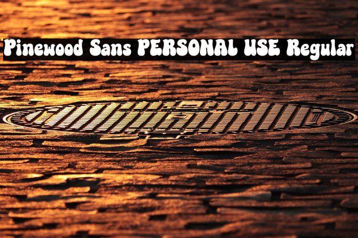 Pinewood Sans PERSONAL USE Regular Example 2