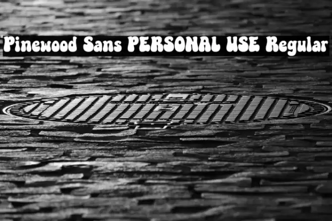 Pinewood Sans PERSONAL USE Regular Font examples