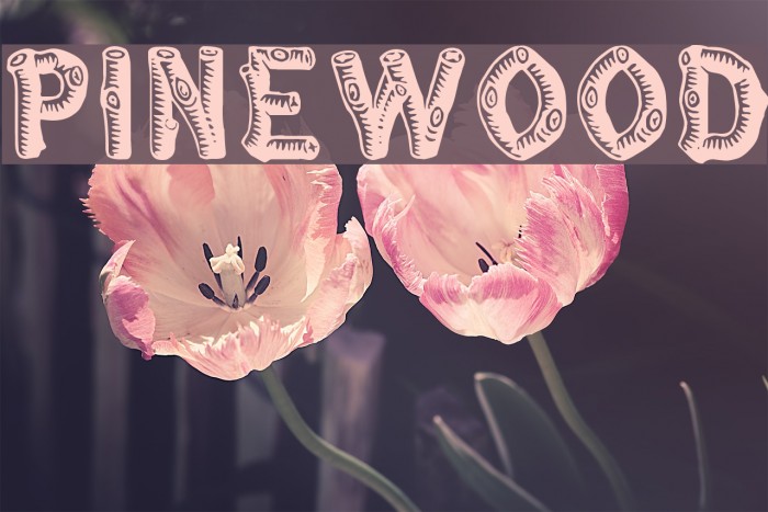 Pinewood Font examples