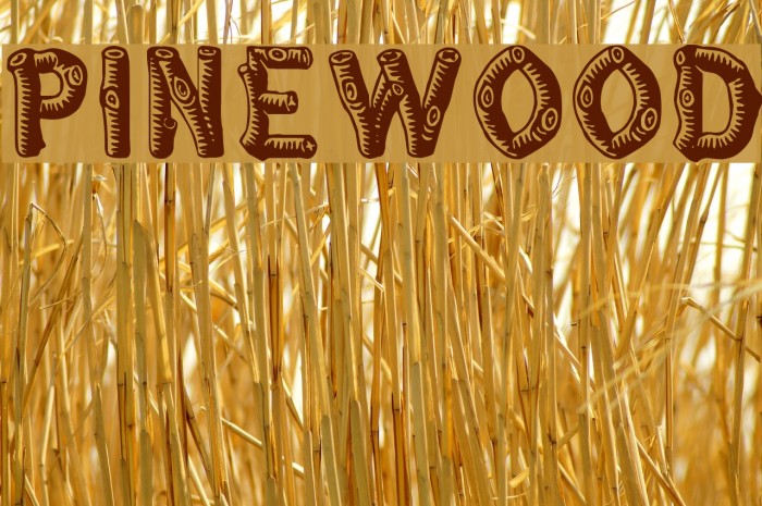 Pinewood Font examples