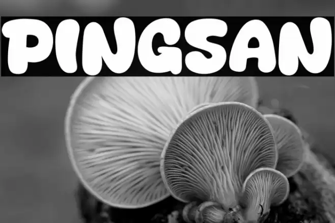Pingsan Font examples