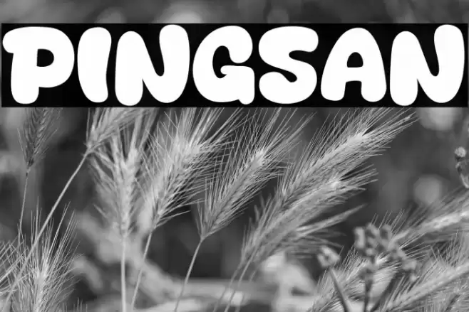 Pingsan Font examples