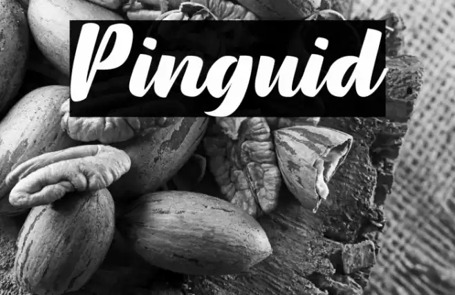 Pinguid Font examples
