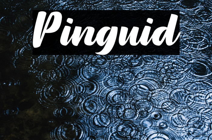 Pinguid Example 2