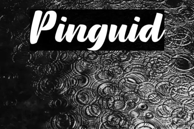 Pinguid Font examples