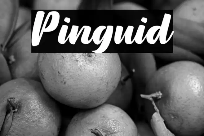 Pinguid Font examples