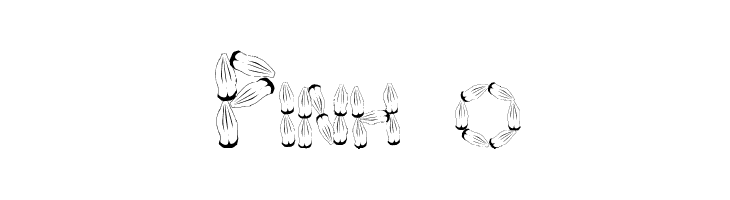 Pinh‹o Font