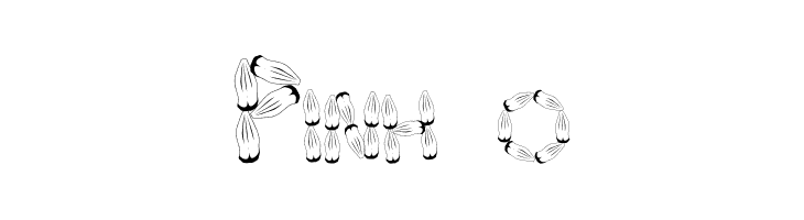 Pinh‹o Font