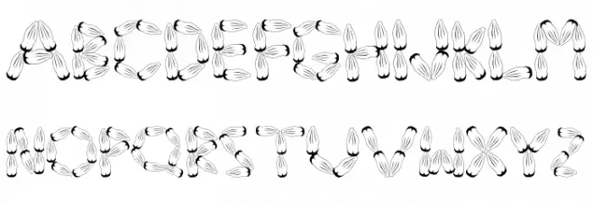 Pinh‹o Fonte MINÚSCULAS