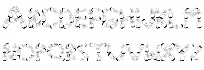 Pinh‹o Fonte MAIÚSCULAS