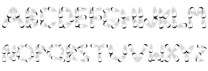 Pinh‹o Font LOWERCASE