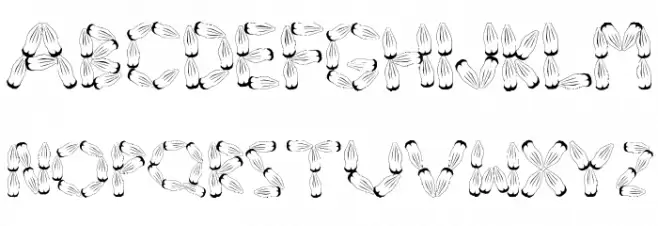 Pinh‹o Caratteri MINUSCOLO