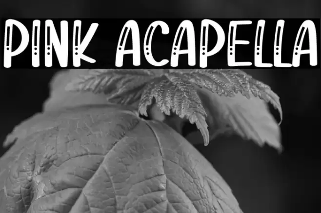 Pink Acapella Font examples