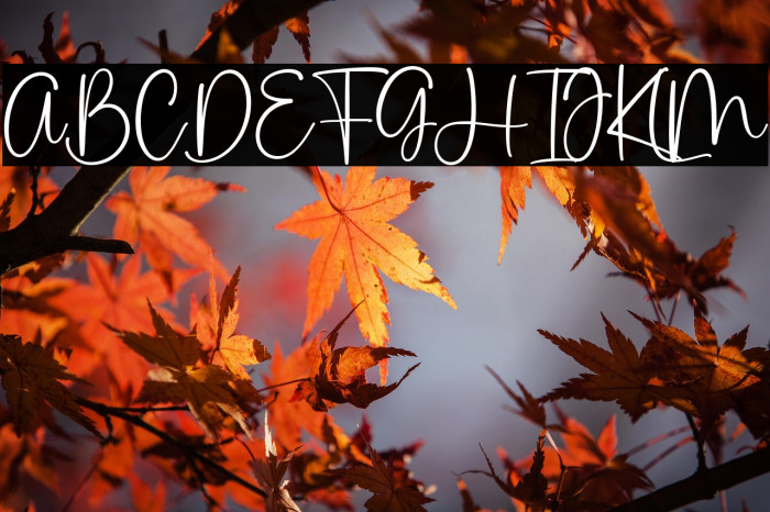 Pink Apple Example 1