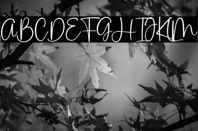 Pink Apple Font examples