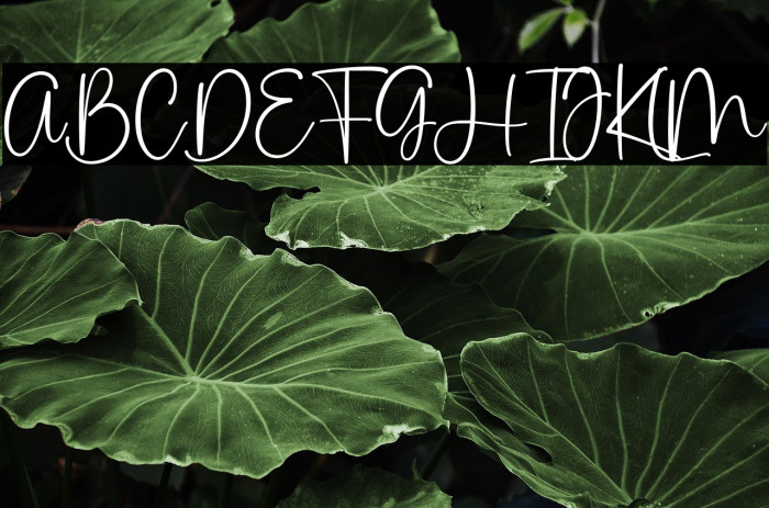 Pink Apple Example 2