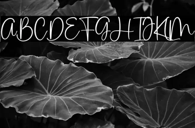 Pink Apple Font examples