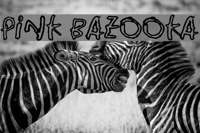 Pink Bazooka Font examples